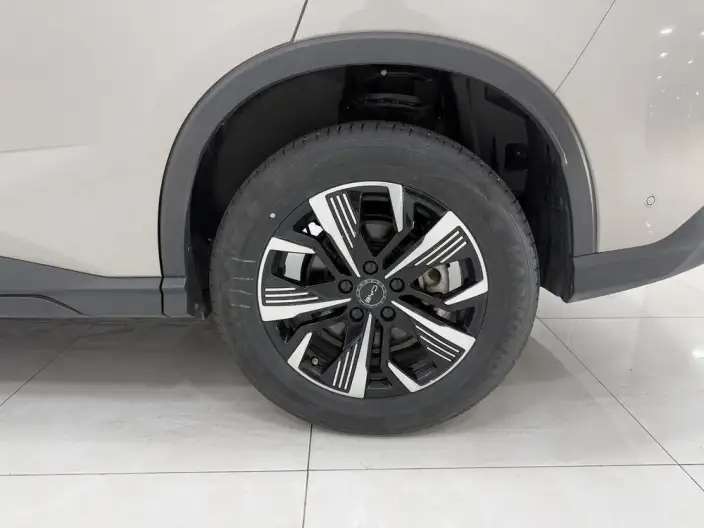 Haise 05DM 2025 Model Smart Driving Edition DM-i 75KM Luxury Model – фото 9