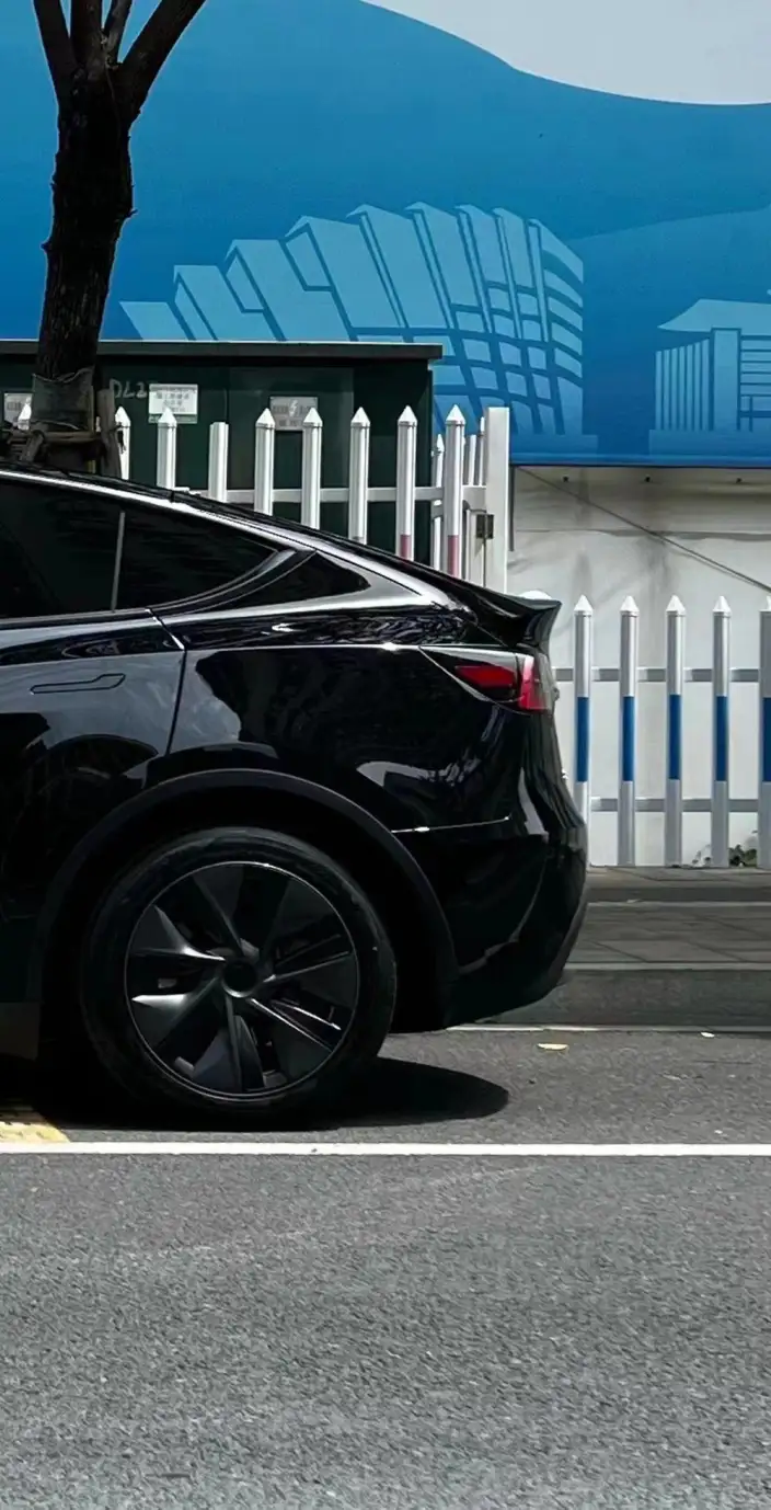 Model Y 2023 Model Rear-wheel drive version – фото 7