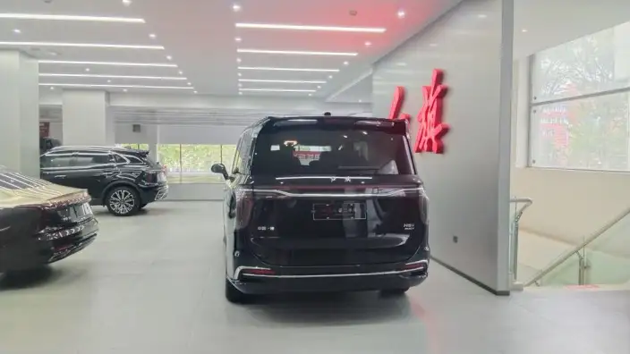 HONGQI HQ9 PHEV 2024 Model 4WD Business Edition – фото 5