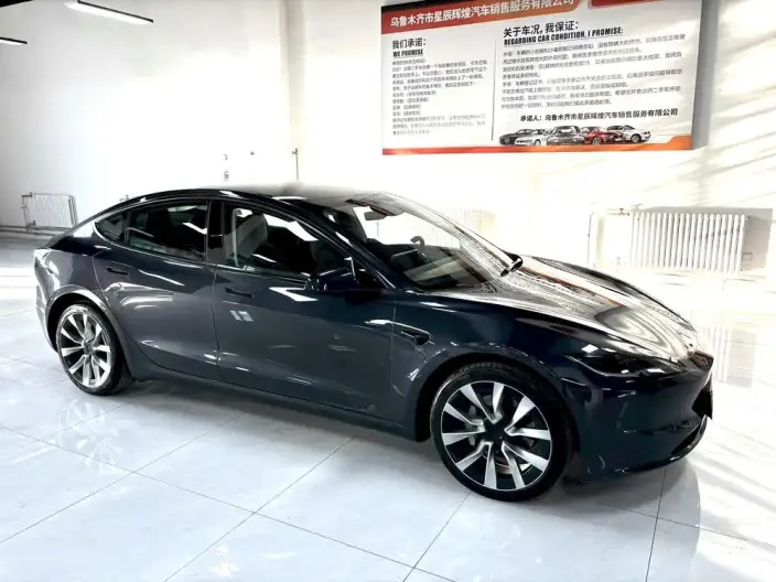 Model 3 2023 Model Rear-wheel drive version – фото 6