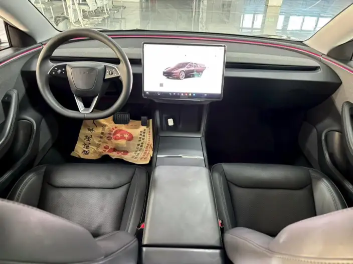 Model 3 2023 Model Rear-wheel drive version – фото 7