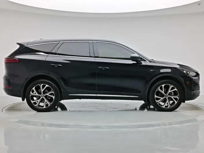 BYD Tang DM 2025 Model Smart Driving Edition DM-i 115KM Zunrong Model – фото 8