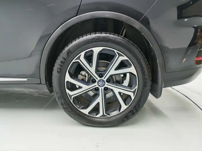 BYD Tang DM 2025 Model Smart Driving Edition DM-i 115KM Zunrong Model – фото 9