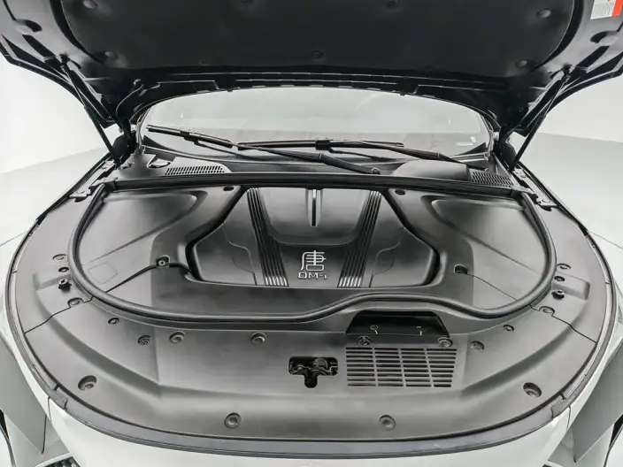 BYD Tang DM 2025 Model Smart Driving Edition DM-i 115KM Zunrong Model – фото 10