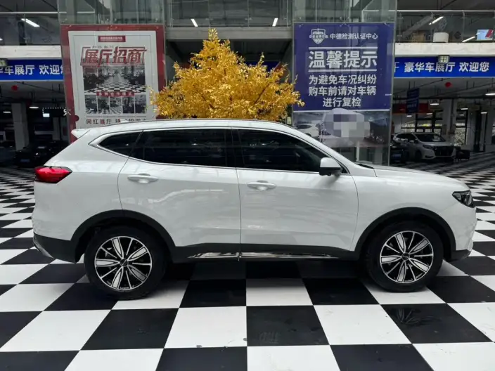 Haval H6 2023 Model Guo Trendy Edition 1.5T Automatic Champion Edition – фото 6