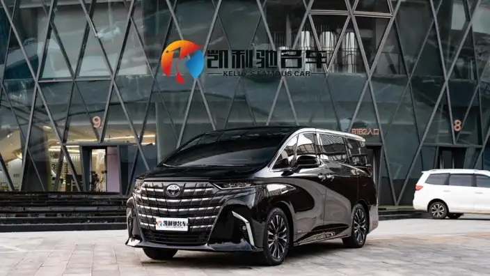 Elfa 2025 Model 2.5L Intelligent Hybrid 4WD Zhen Xiang Gold Edition – фото 1