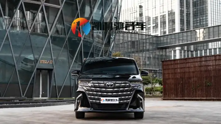 Elfa 2025 Model 2.5L Intelligent Hybrid 4WD Zhen Xiang Gold Edition – фото 2