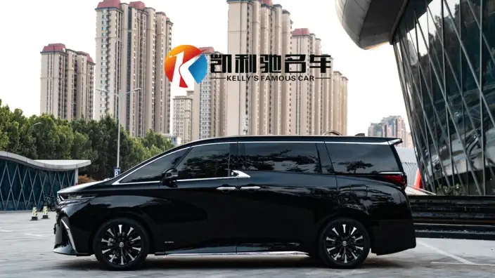 Elfa 2025 Model 2.5L Intelligent Hybrid 4WD Zhen Xiang Gold Edition – фото 3