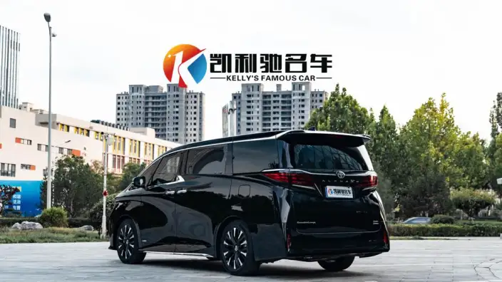 Elfa 2025 Model 2.5L Intelligent Hybrid 4WD Zhen Xiang Gold Edition – фото 4