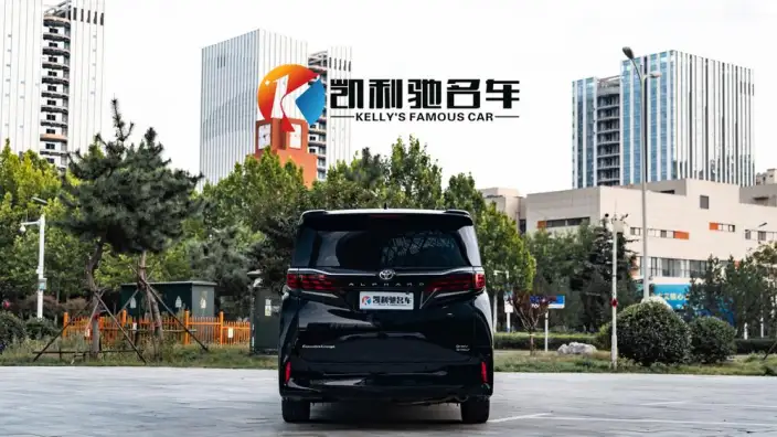Elfa 2025 Model 2.5L Intelligent Hybrid 4WD Zhen Xiang Gold Edition – фото 5