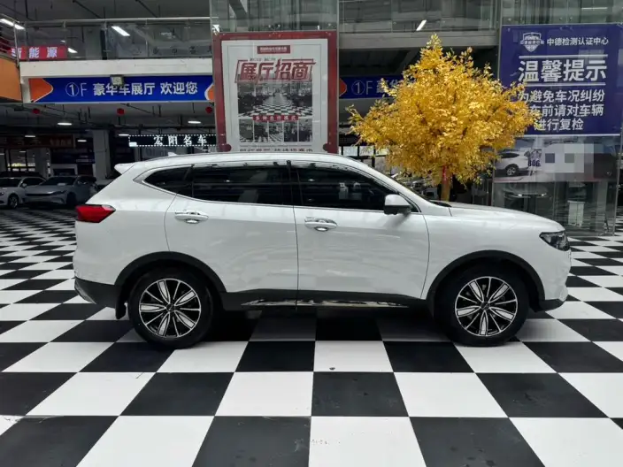 Haval H6 2023 Model Guo Trendy Edition 1.5T Automatic Champion Edition – фото 7