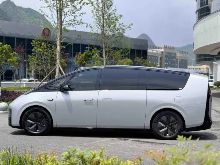 Li Auto MEGA 2025 Model Home Family Special Edition