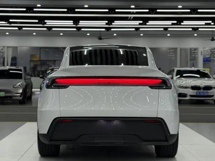 Model Y 2025 Model Rear-wheel drive version – фото 6