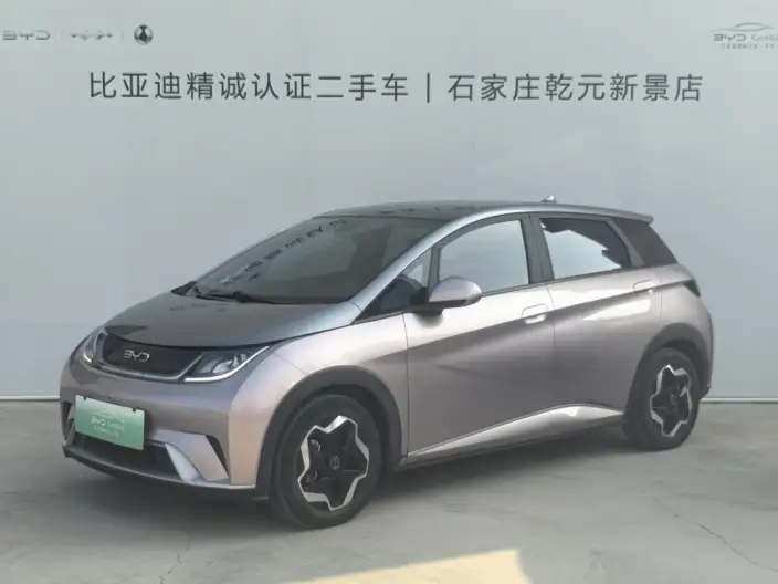 BYD Dolphin 2021 Model Fashion Edition