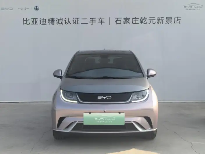BYD Dolphin 2021 Model Fashion Edition
