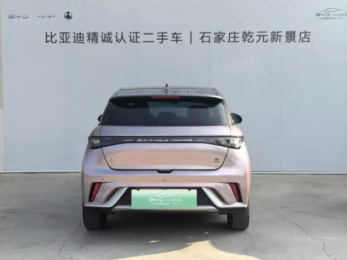 BYD Dolphin 2021 Model Fashion Edition