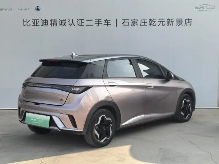 BYD Dolphin 2021 Model Fashion Edition