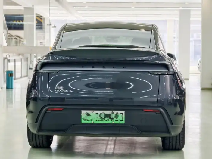 Model Y 2025 Model Rear-wheel drive version – фото 5