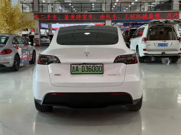 Model Y 2024 Model Long Battery Life Pro All-wheel drive version – фото 5
