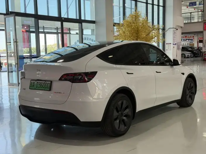 Model Y 2024 Model Long Battery Life Pro All-wheel drive version – фото 6
