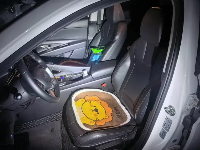 Hyundai Ioniq 2022 Model 1.5L CVT GLX Elite Edition – фото 10