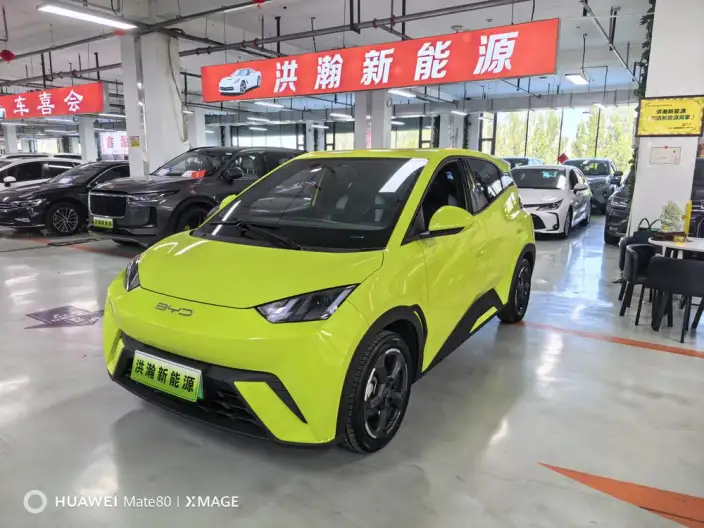BYD Seagull 2023 Model Feixiang Edition