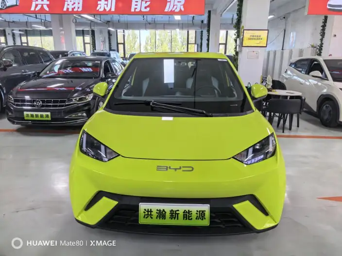 BYD Seagull 2023 Model Feixiang Edition