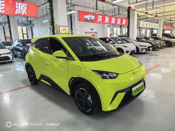 BYD Seagull 2023 Model Feixiang Edition