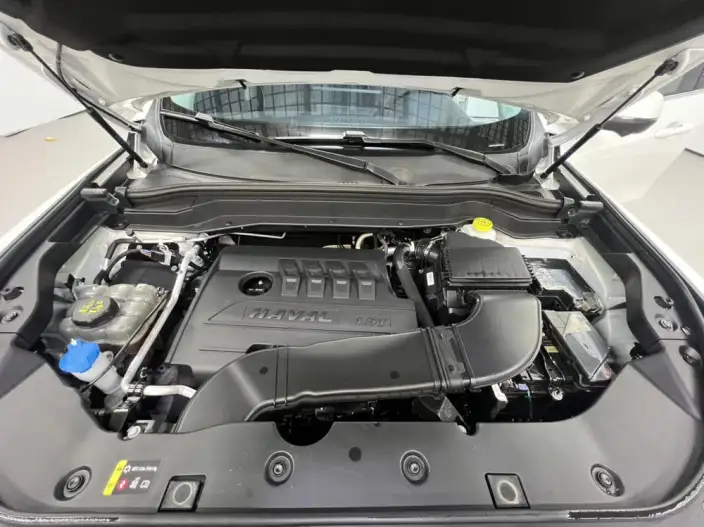 Haval H6 2021 Model Guo Trendy Edition 1.5T Automatic Champion Edition – фото 7