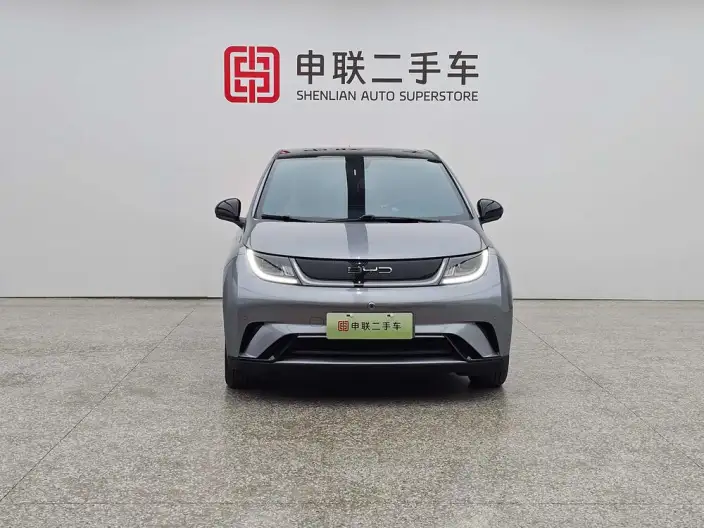 BYD Dolphin 2023 Model Fashion Edition – фото 2