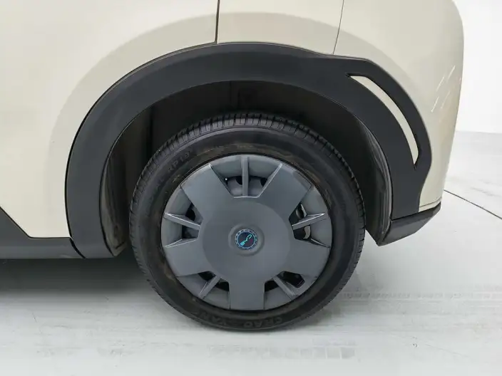 BYD Seagull 2025 Model 305KM Vitality Edition – фото 9
