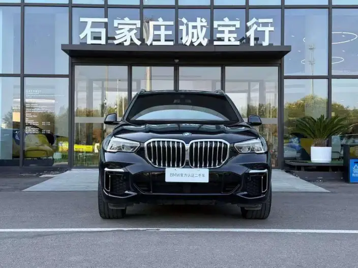 BMW X5 2022 Model Facelift xDrive 40Li M Sports Set – фото 2