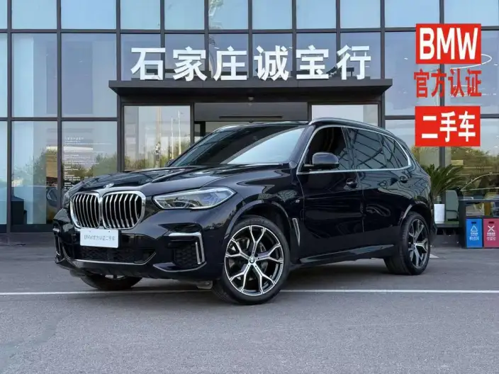 BMW X5 2022 Model Facelift xDrive 40Li M Sports Set – фото 10