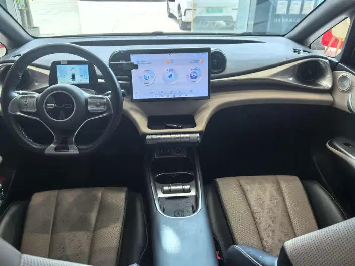BYD Dolphin 2023 Model Fashion Edition – фото 9