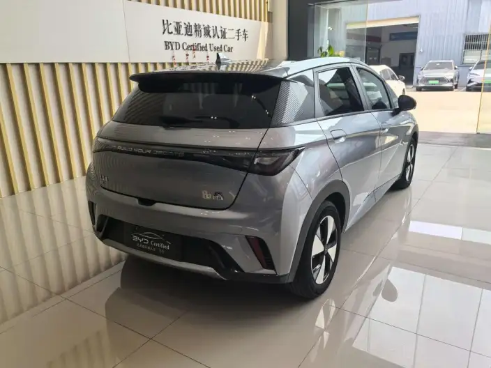 BYD Dolphin 2023 Model Fashion Edition – фото 6