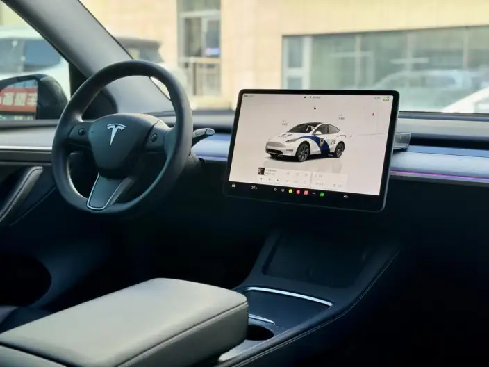 Model Y 2024 Model Rear-wheel drive version – фото 8