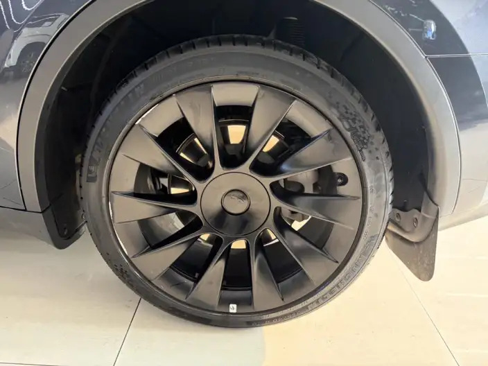 Model Y 2024 Model Long Battery Life Pro All-wheel drive version – фото 6