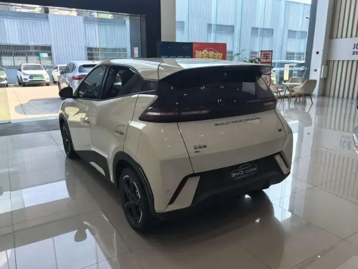 BYD Seagull 2023 Model Free Edition – фото 4