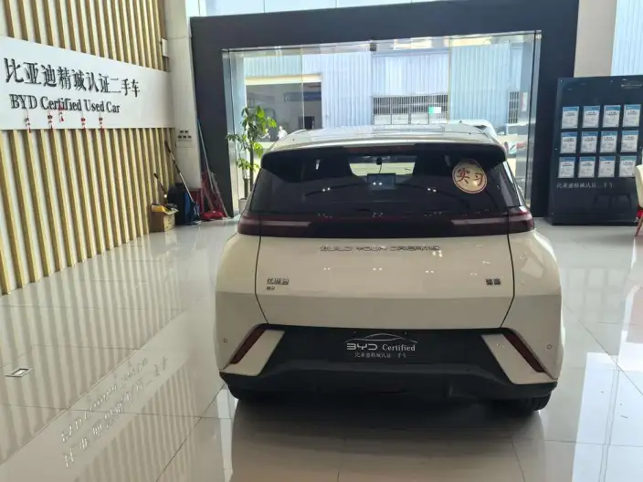 BYD Seagull 2023 Model Free Edition – фото 5