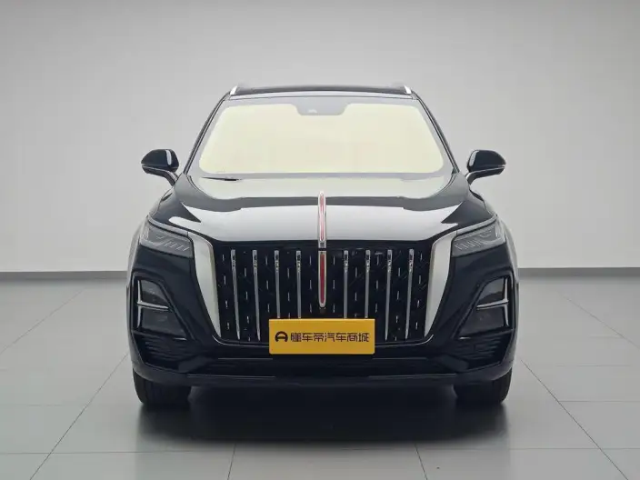 Hongqi HS5 2023 Model 2.0T Flag Xiang Pro Edition – фото 2