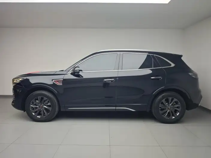 Hongqi HS5 2023 Model 2.0T Flag Xiang Pro Edition – фото 4
