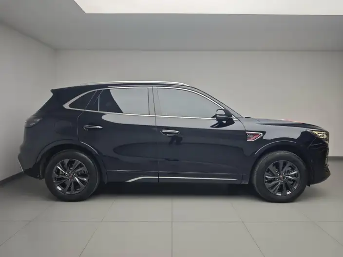 Hongqi HS5 2023 Model 2.0T Flag Xiang Pro Edition – фото 8