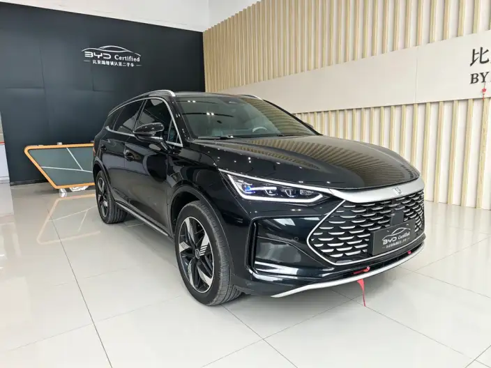 BYD Tang DM 2024 Model Honor Edition DM-i 112KM Noble Model – фото 3