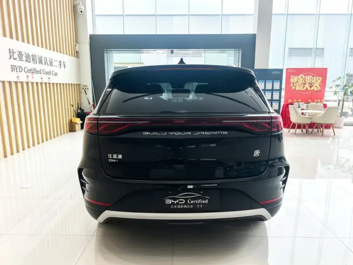 BYD Tang DM 2024 Model Honor Edition DM-i 112KM Noble Model – фото 5