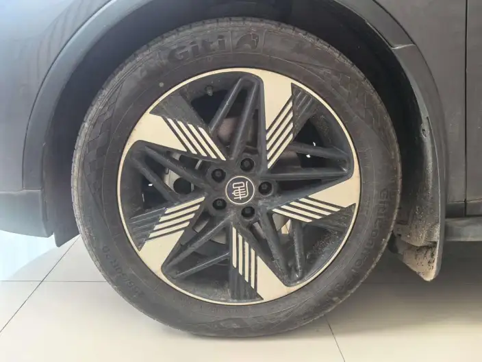 BYD Tang DM 2024 Model Honor Edition DM-i 112KM Zunrong Model – фото 7