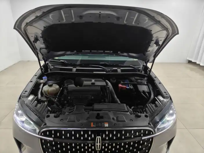 Lincoln Corsair 2023 Model 2.0T 2WD Zunya Edition – фото 10