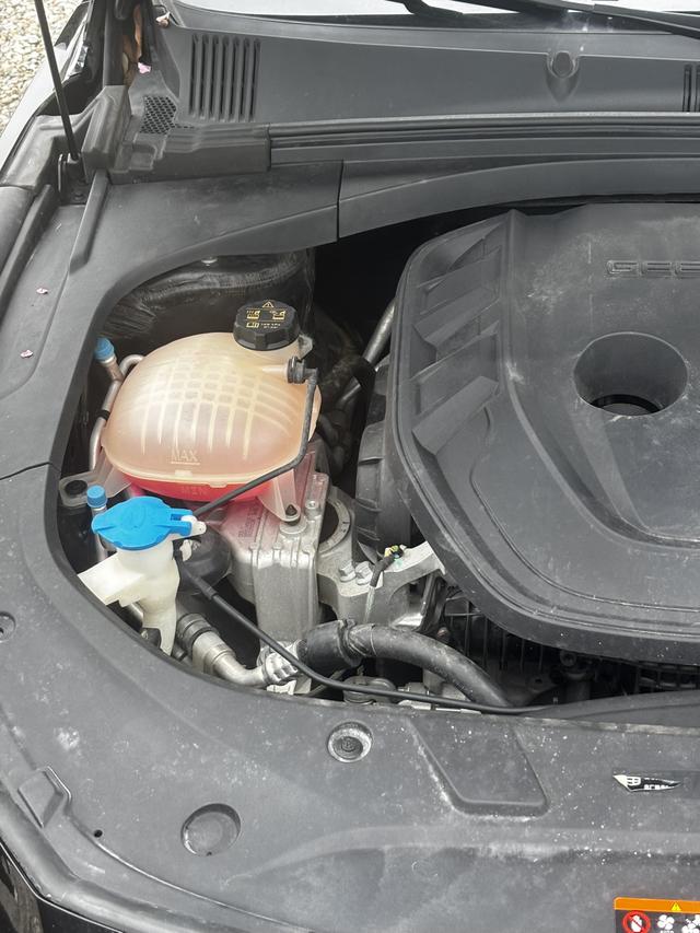 Geely StarRui 2023 2.0T Elite – фото 13