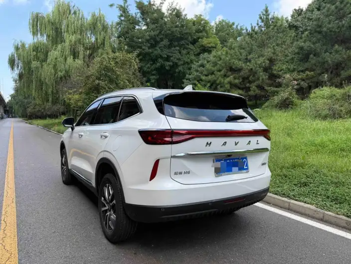 Haval H6 2022 Model Third generation 1.5T Automatic 2WD Pro – фото 4