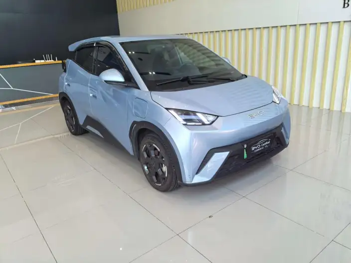 BYD Seagull 2025 Model 305KM Free Edition – фото 3
