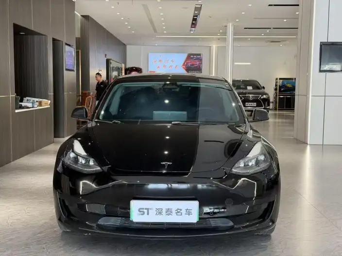 Model 3 2022 Model Rear-wheel drive version – фото 2
